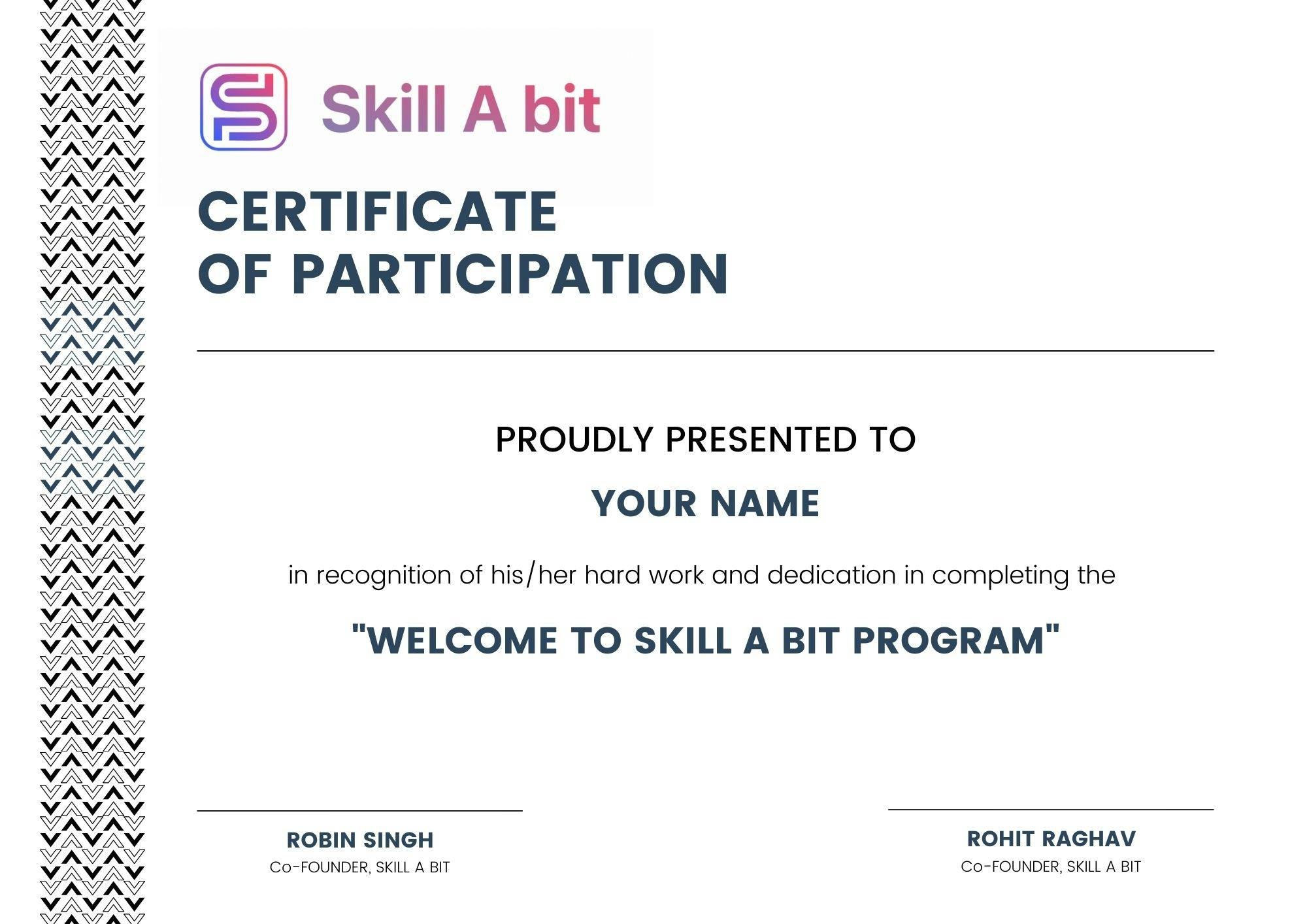 skill a bit course certificate